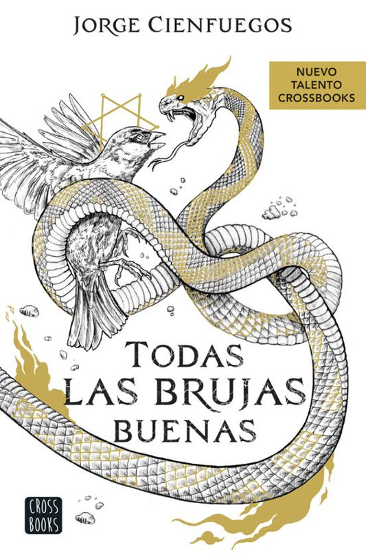 TODAS LAS BRUJAS BUENAS, Jorge Cienfuegos