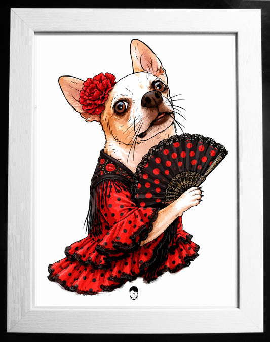 Ilustración A5 Dimitri Flamenca